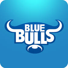 Blue bulls